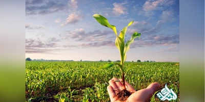 سوالات و کلید آزمون دکتری  بیو تکنولوژی کشاورزی 1405