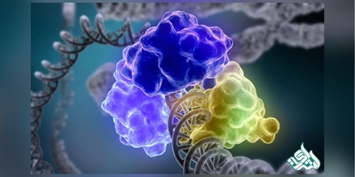 دانلود سوالات دکتری زیست فناوری میکروبی به همراه کلید (93،94،95،96،97)