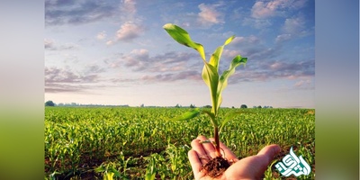 سوالات و کلید آزمون دکتری توسعه کشاورزی 1405