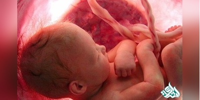 دانلود سوالات دکتری آناتومی و جنین شناسی (93و94و95و96و97)