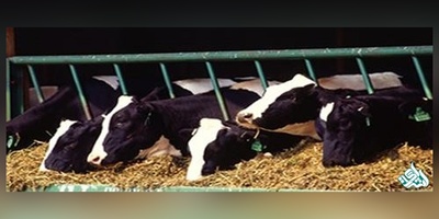 سوالات و کلید آزمون دکتری انگل شناسی دامپزشکی 1405