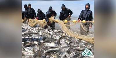 دانلود سوالات دکتری  مهندسی شیلات - صید و بهره برداری آبزیان به همراه کلید (93،94،95،96،97)