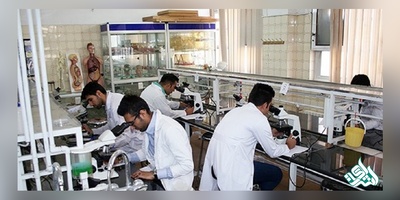 دانشجویان دکتری دستیاران آموزشی و پژوهشی می شوند