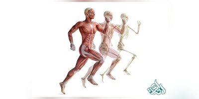 لیست مجلات ISI ایمپکت دار فیزیولوژی پزشکی