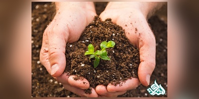 دانلود سوالات دکتری مدیریت منابع خاک به همراه کلید (93،94،95،96،97)