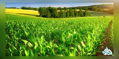 ترجمه تخصصی مقاله کشاورزی