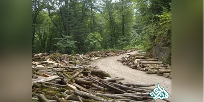 دانلود سوالات دکتری علوم و مهندسی جنگل - مدیریت جنگل به همراه کلید (93،94،95،96،97)