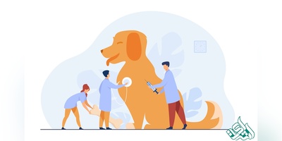 ترجمه تخصصی مقاله دامپزشکی