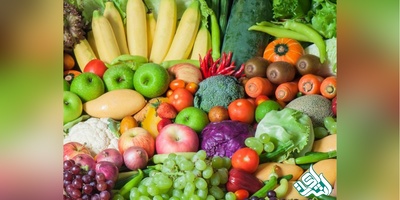 دانلود سوالات دکتری ژنتیک و به نژادی گیاهی به همراه کلید (93،94،95،96،97)