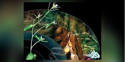 سوالات و کلید آزمون دکتری زیست شناسی گیاهی 1405