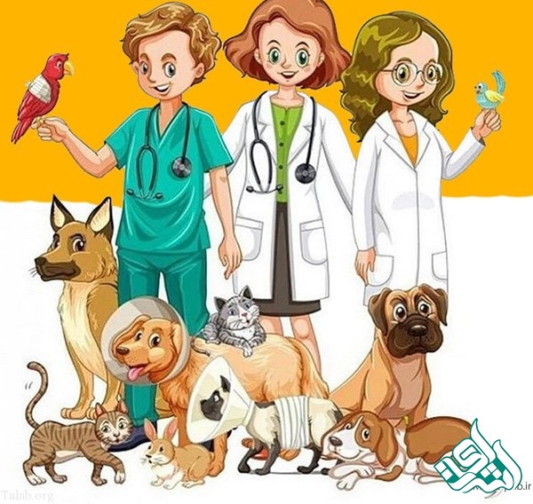 چالش‌های ترجمه متون