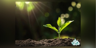 دانلود سوالات دکتری زیست شناسی - فیزیولوژی گیاهی به همراه کلید (93،94،95،96،97)