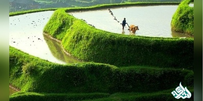 دانلود سوالات دکتری توسعه کشاورزی به همراه کلید (93،94،95،96،97)