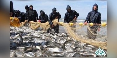 سوالات و کلید آزمون دکتری علوم و مهندسی شیلات 1405