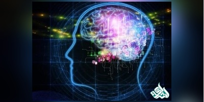 سوالات و کلید آزمون دکتری  علوم شناختی 1405