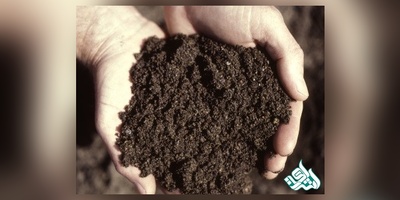 سوالات و کلید آزمون دکتری مدیریت منابع خاک 1405