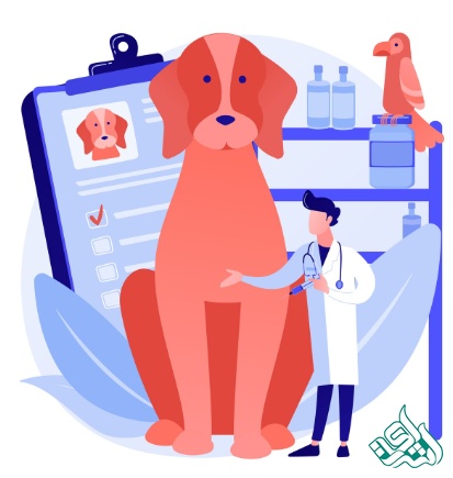 تخصص‌های پرطرفدار دامپزشکی