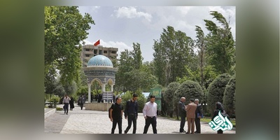 دانشجویان طب و داروسازی سنتی با منطق و فلسفه آشنا شوند