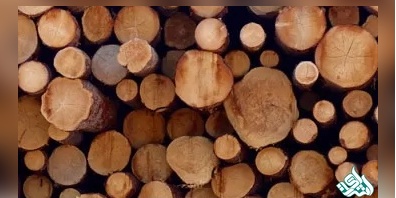 دانلود سوالات دکتری صنایع چوب و فراورده های سلولزی به همراه کلید (93،94،95،96،97)