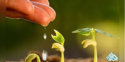 سوالات و کلید آزمون دکتری علوم ومهندسی باغبانی 1403