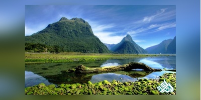 دانلود سوالات دکتری رشته علوم و مهندسی مرتع به همراه کلید (93،94،95،96،97)