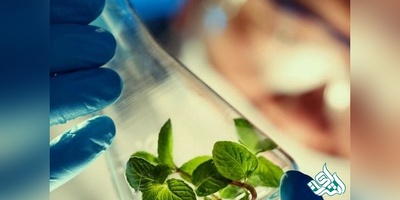 سوالات و کلید آزمون دکتری زیست شناسی سلولی و مولکولی 1404