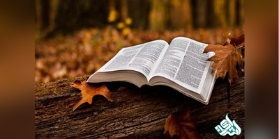 تالیف، ترجمه و چاپ کتاب برای رزومه علمی دکتری