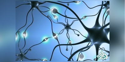 حافظه انسان بزودی با ایمپلنت مغزی تقویت خواهد شد!