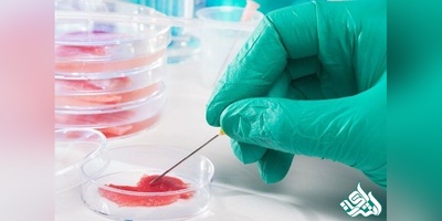 دانلود لیست مجلات ISI 2018 علوم زیست پزشکی