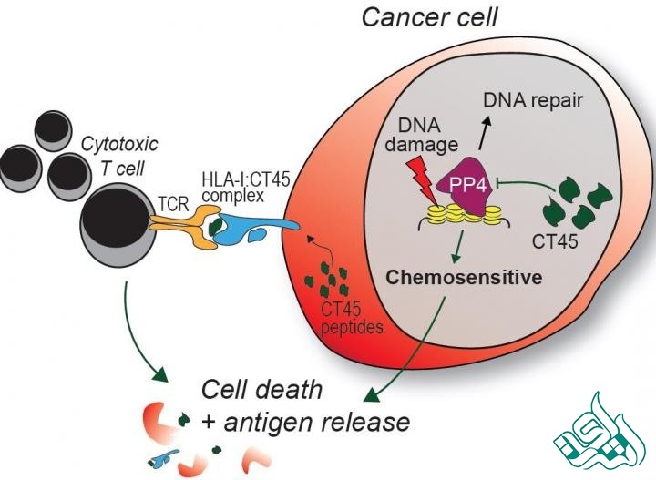  نمونه چکیده گرافیکی