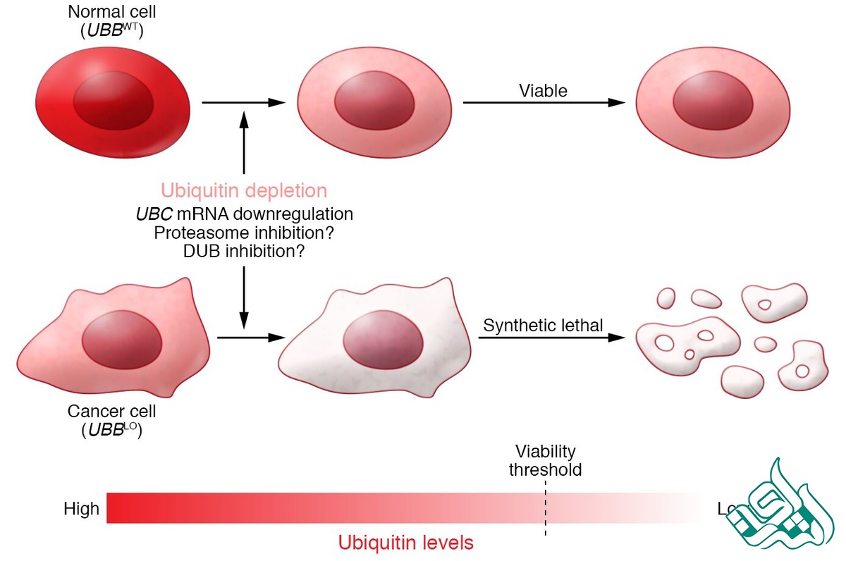  نمونه چکیده گرافیکی