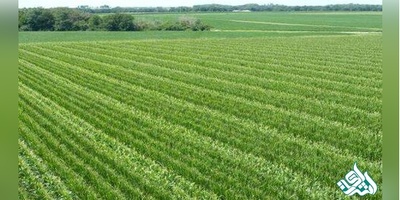 دانلود سوالات دکتری ترویج و آموزش کشاورزی به همراه کلید (93،94،95،96،97)