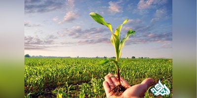 سوالات و کلید آزمون دکتری توسعه کشاورزی 1404