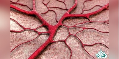 تولید رگ‌ مصنوعی پلیمری توسط محققان دانشگاه آزاد