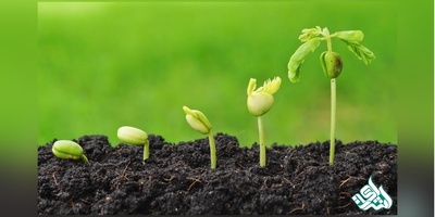 دانلود سوالات دکتری مدیریت حاصلخیزی و زیست فناوری خاک به همراه کلید (93،94،95،96،97)