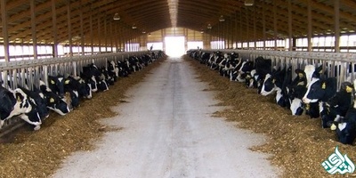 دانلود سوالات دکتری بهداشت خوراک دام به همراه کلید (93،94،95،96،97)