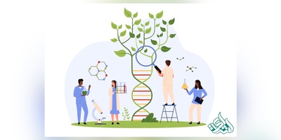 دانلود سوالات و کلید کارشناسی ارشد رشته زیست شناسی - علوم گیاهی (سال 93 تا 96)