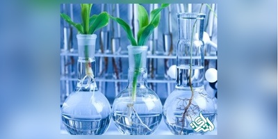 دانلود سوالات دکتری بیوشیمی  بالینی به همراه کلید (93،94،95،96،97)