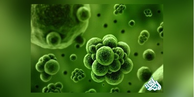 دانلود سوالات دکتری شیمی پلیمر به همراه کلید (93،94،95،96،97)