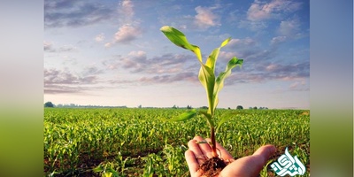 سوالات و کلید آزمون دکتری اصلاح نباتات بوم شناسی زراعی