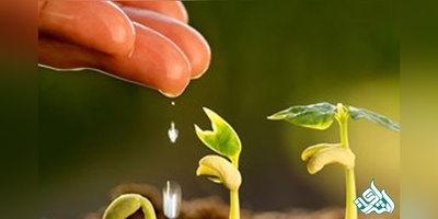 سوالات و کلید آزمون دکتری علوم ومهندسی باغبانی 1405