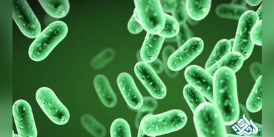 دانلود سوالات دکتری باکتری شناسی به همراه کلید (93،94،95،96،97)