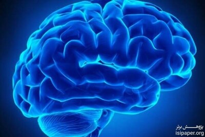 مردی که فقط با نیمی از مغز زنده است!
