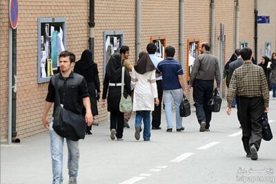 راه اندازی شبکه علمی دانشگاه‌های استانی از سال آینده