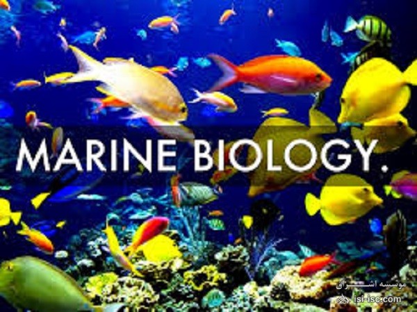 لیست نشریات معتبر آی اس ای (ISI) زیست شناسی دریایی و آب تازه