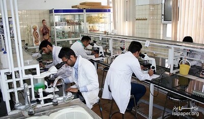 دانشجویان دکتری دستیاران آموزشی و پژوهشی می شوند