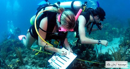 سوالات و کلید های آزمون کارشناسی ارشد زیست شناسی دریا