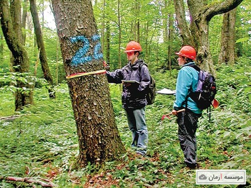 سوالات و کلید آزمون دکتری مهندسی جنگل